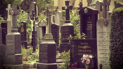  Hřbitov on-line 